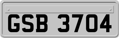 GSB3704