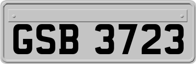 GSB3723