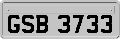 GSB3733