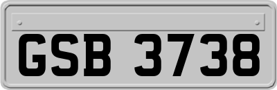 GSB3738