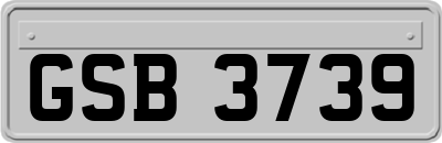 GSB3739