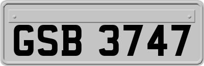 GSB3747