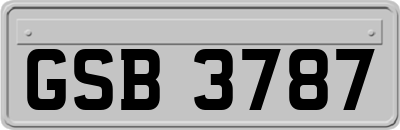 GSB3787