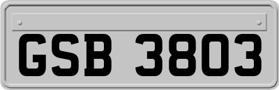 GSB3803