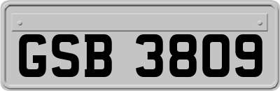 GSB3809