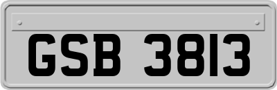 GSB3813