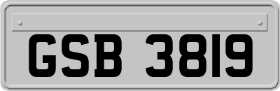 GSB3819