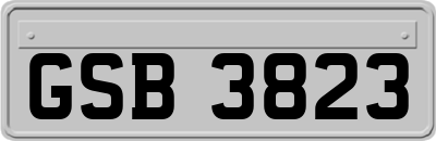 GSB3823