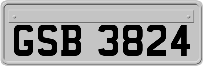 GSB3824
