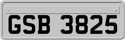 GSB3825