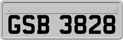 GSB3828