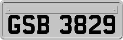 GSB3829