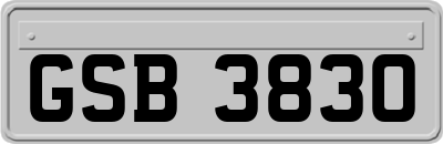 GSB3830