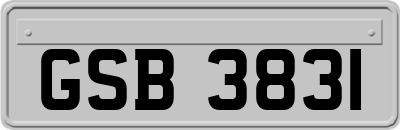 GSB3831