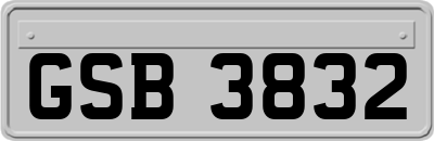 GSB3832
