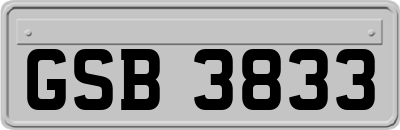 GSB3833