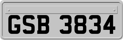 GSB3834