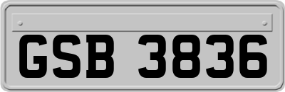 GSB3836