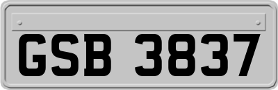 GSB3837
