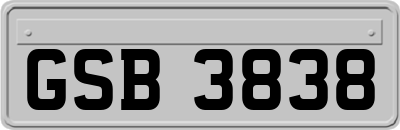 GSB3838