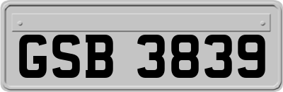 GSB3839