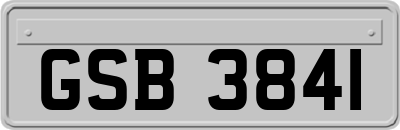 GSB3841