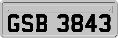 GSB3843