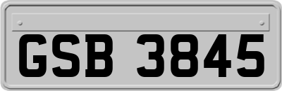 GSB3845