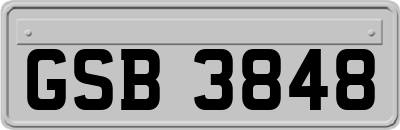 GSB3848