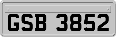 GSB3852