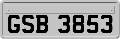 GSB3853