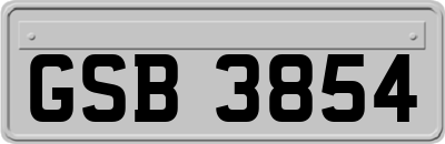 GSB3854