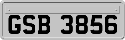 GSB3856