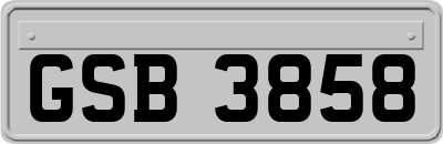 GSB3858