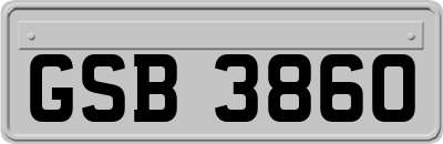 GSB3860