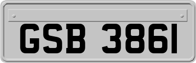 GSB3861