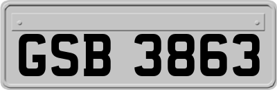 GSB3863