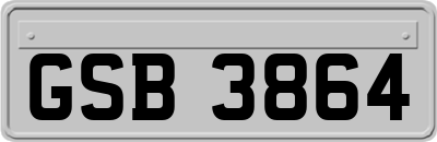 GSB3864