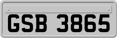 GSB3865