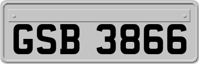 GSB3866