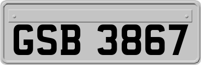GSB3867