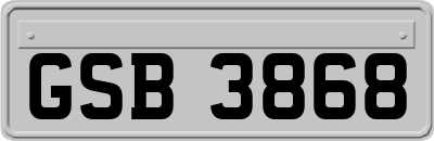 GSB3868