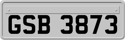GSB3873
