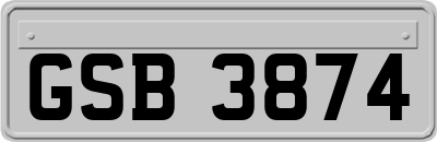 GSB3874