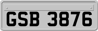 GSB3876