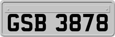 GSB3878
