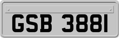 GSB3881