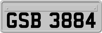 GSB3884