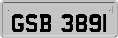 GSB3891