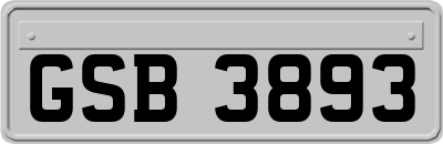 GSB3893